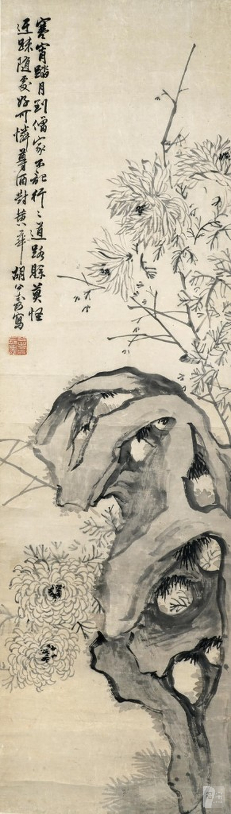    胡公壽 菊石圖